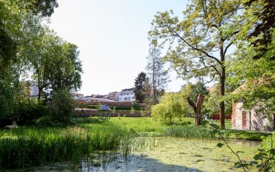 L’Assemblée à l’heure des recommandations